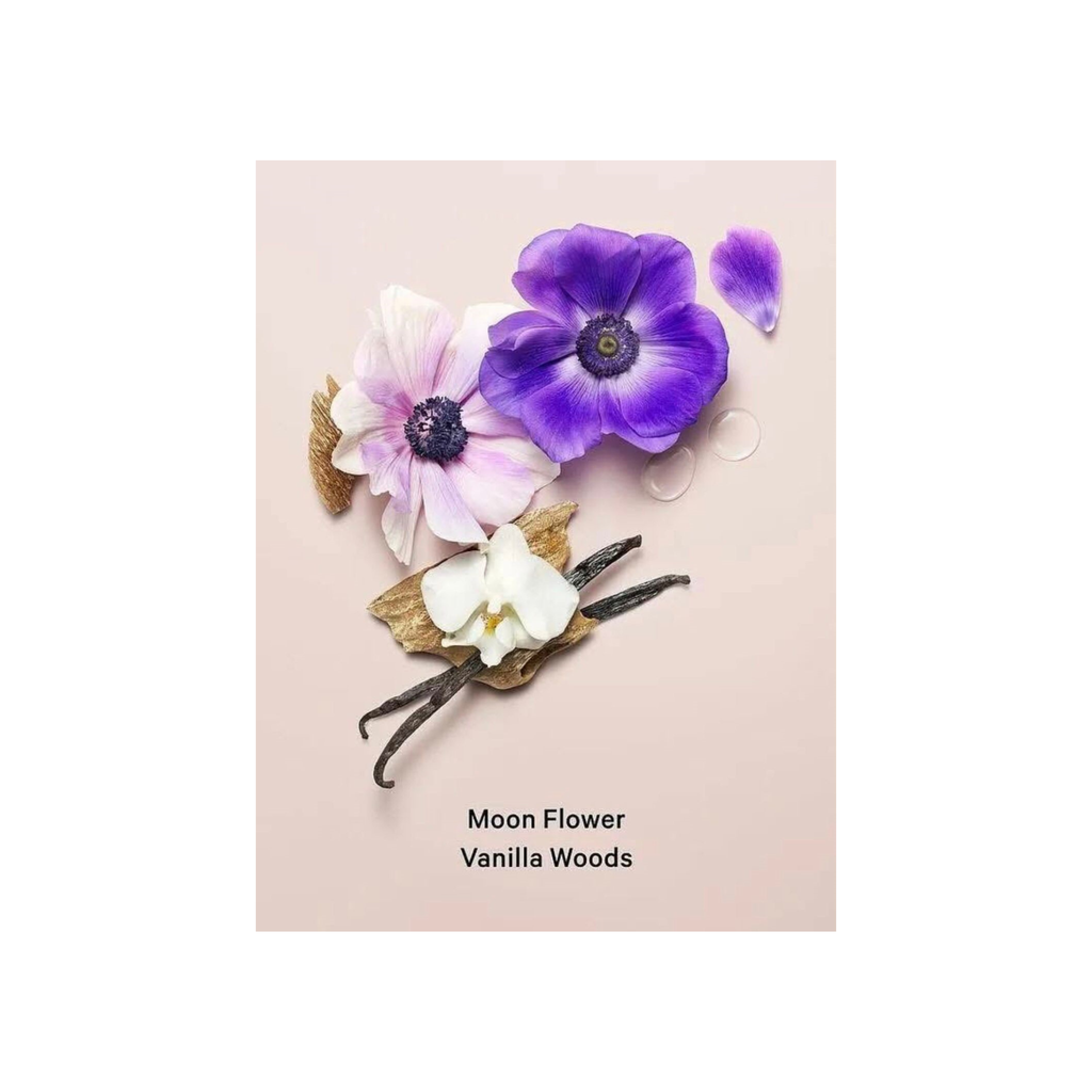 Midnight Bloom VS